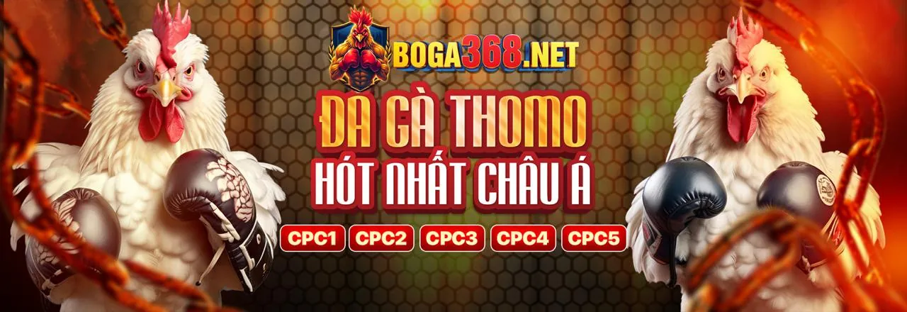 Đá gà trực tuyến b52 login - Các trận đấu kịch tính